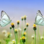 Basteln mit Papier – kreative Ideen für jedes Alter